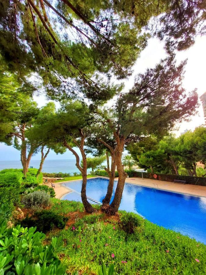 Vistas Al Mar Poniente Beach Benidorm Dış mekan fotoğraf